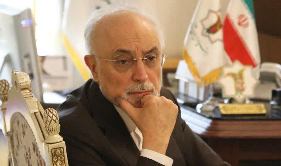 Holding a ceremony to honor and introduce Dr. Ali Akbar Salehi, President of the Iranology Foundation