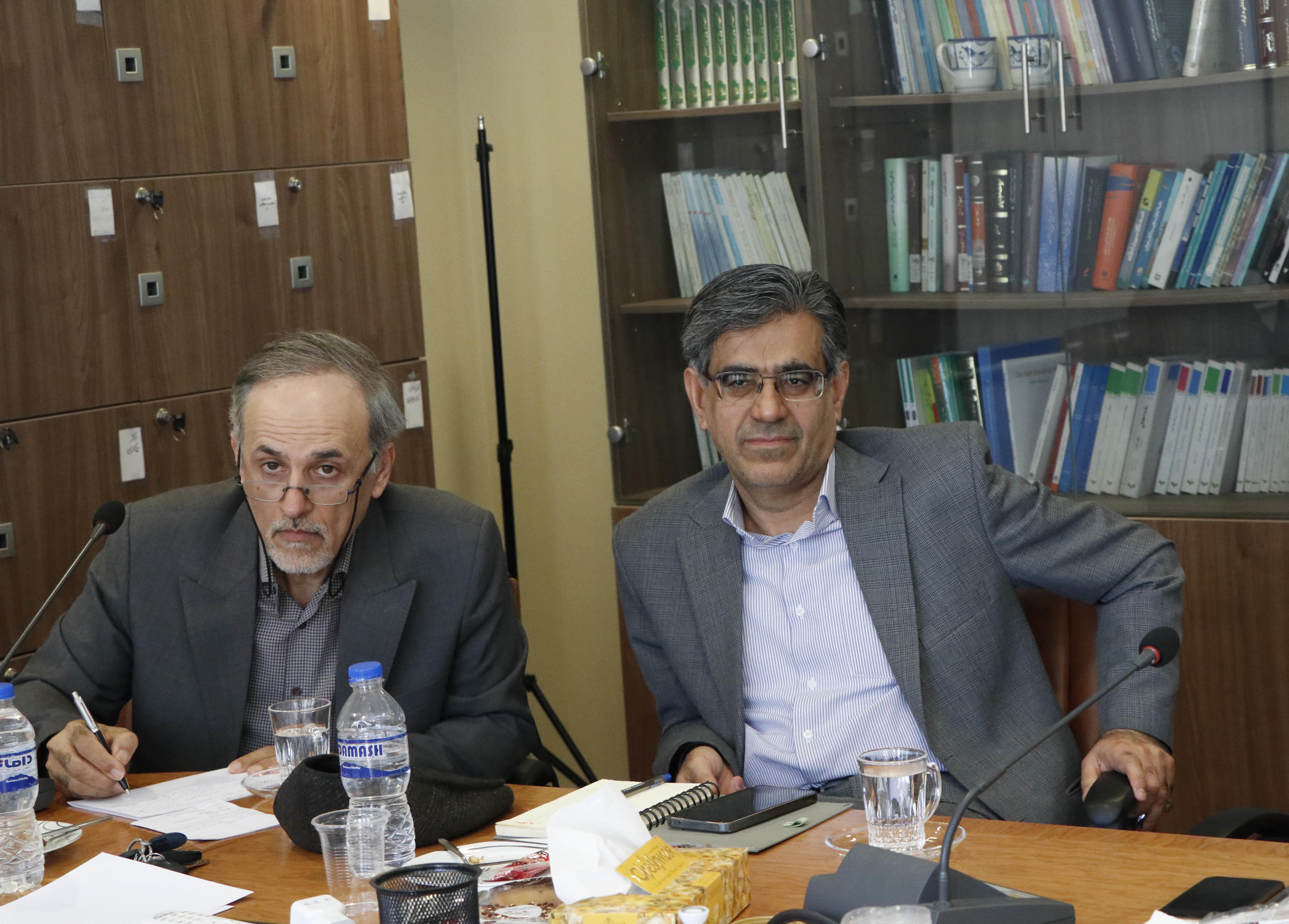 انسانی