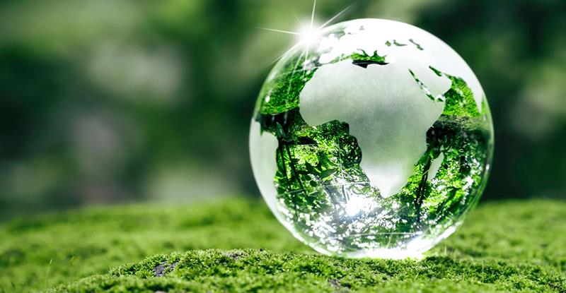 بین گروهی محیط زیست فرهنگستان