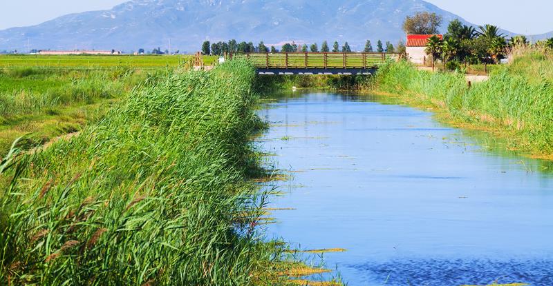 مرتع و آبخیزداری