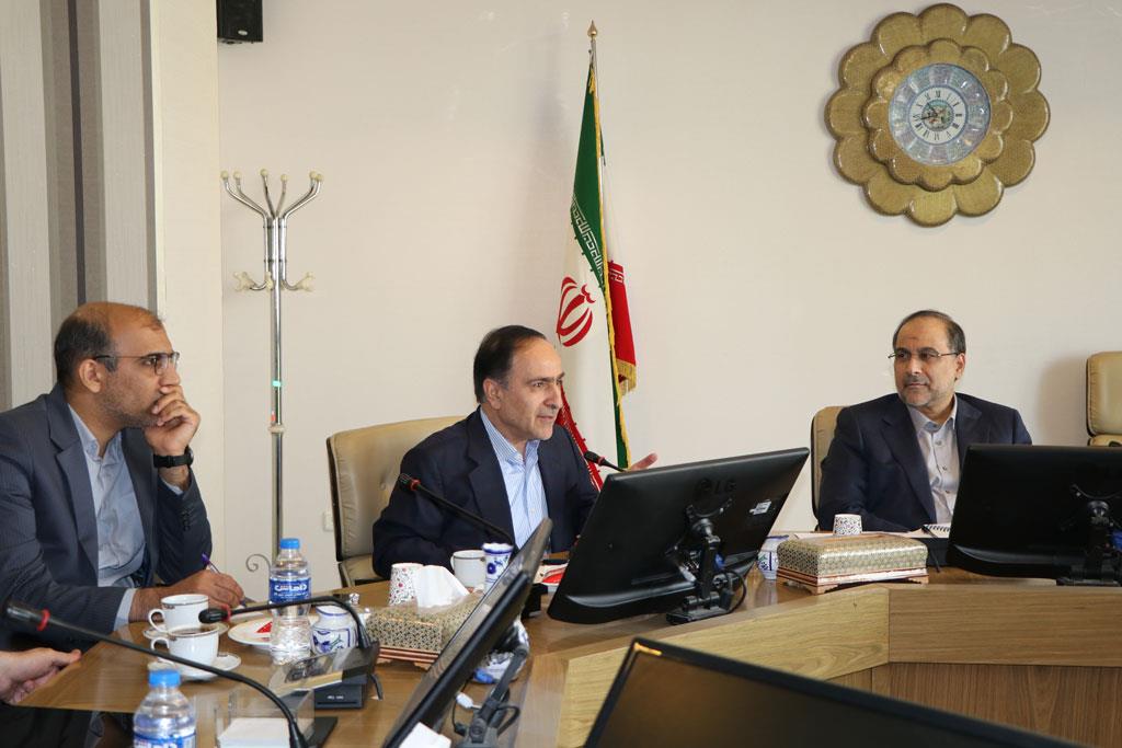 نخستی سانان 16