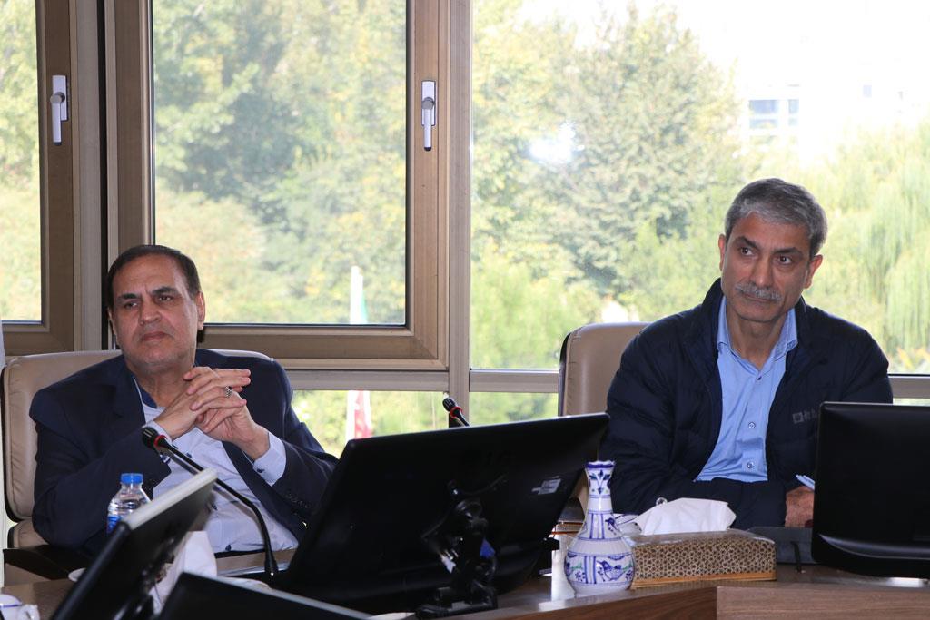 نخستی سانان 14