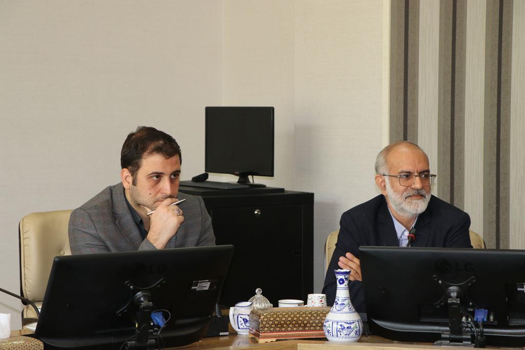 نخستی سانان 10