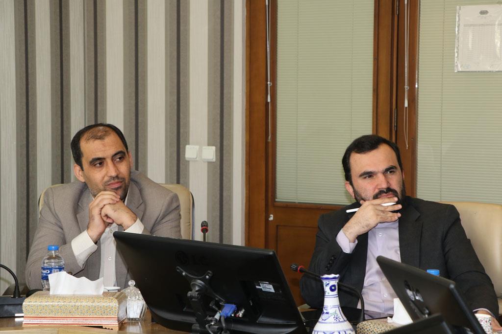 نخستی سانان 9