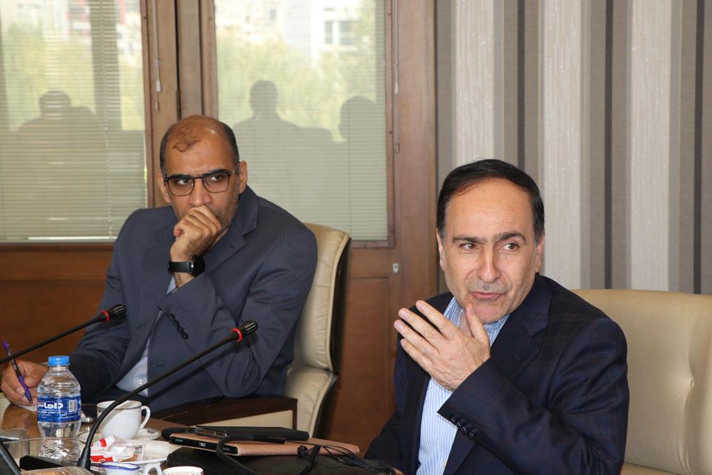 نخستی سانان 8