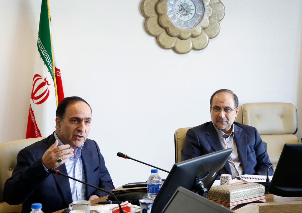 نخستی سانان 17