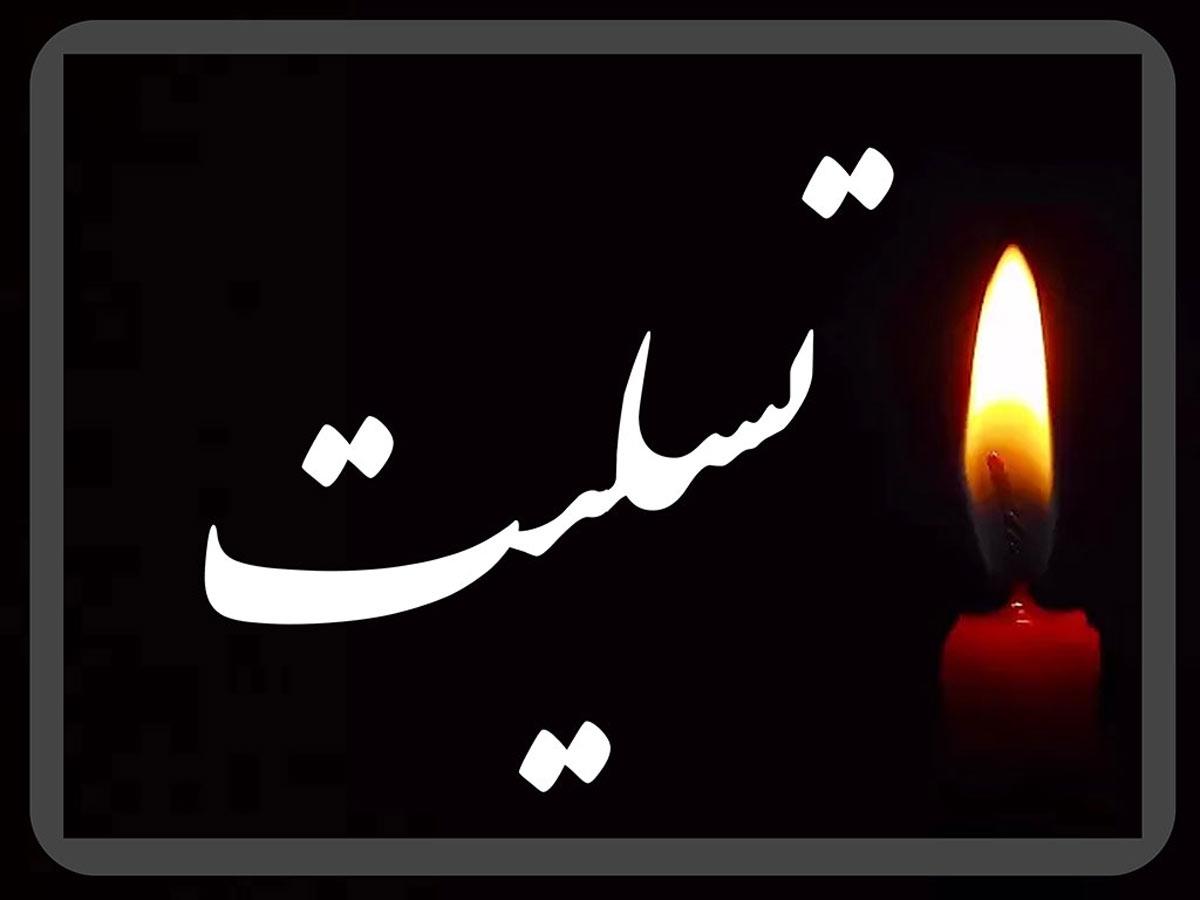 پیام تسلیت رئیس گروه علوم کشاورزی و منابع طبیعی فرهنگستان علوم در پی درگذشت دکتر بهمن یزدی صمدی