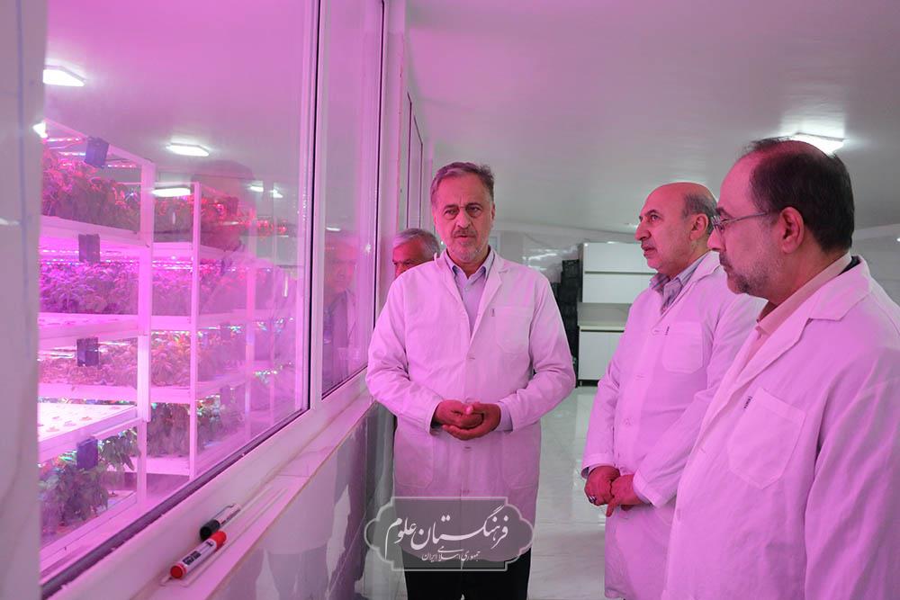 بازدید 7