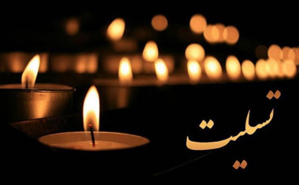 پیام تسلیت دکتر محمدرضا مخبردزفولی رئیس فرهنگستان علوم در پی درگذشت دکتر سیدمحمد بلورچیان