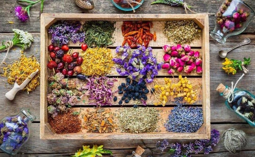 گیاهان دارویی و فرآورده‌های طبیعی، ظرفیتی برای کمک به درمان مردم، تولید علم بومی و ثروت آفرینی برای کشور