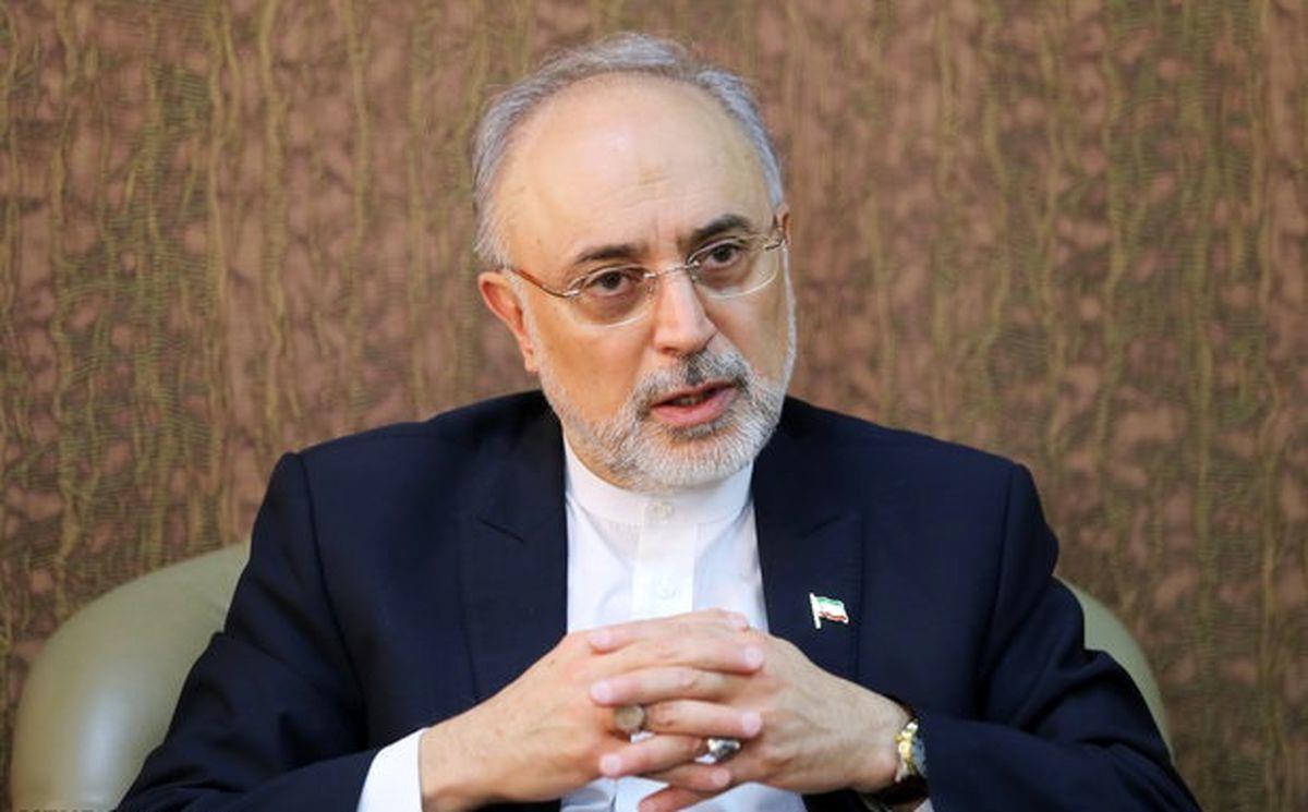 Prof. Salehi's Speech on 14th International Seminar on Relevance of Environment and Climate Change Issues for Peace