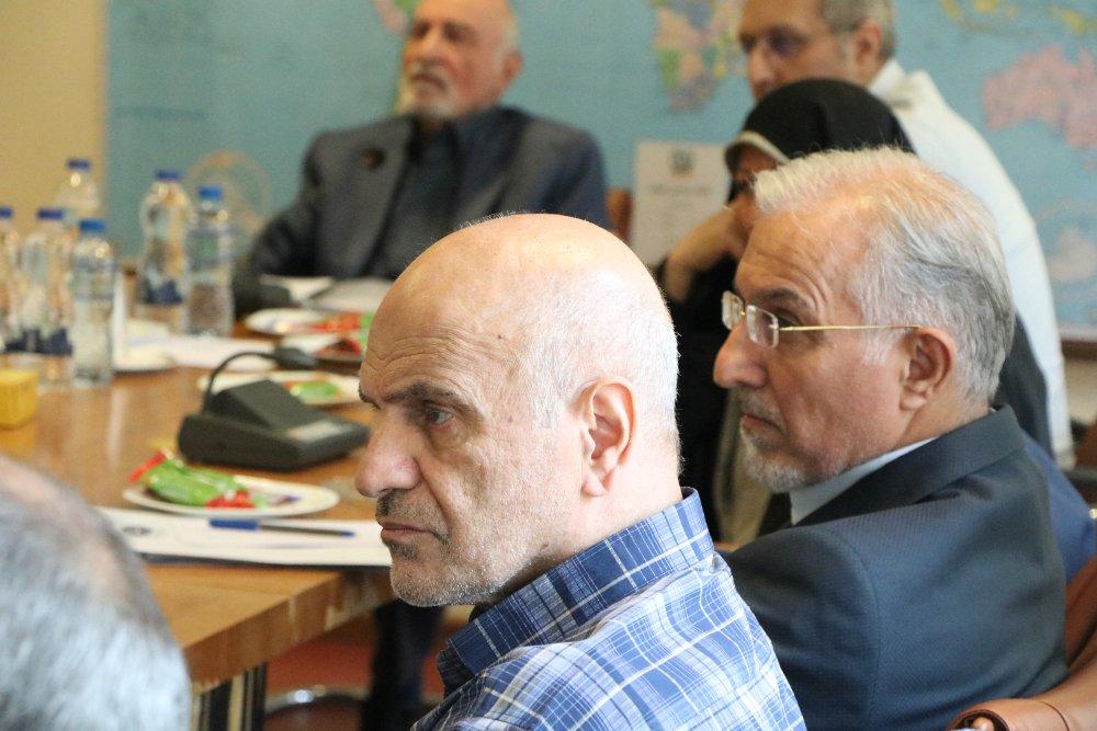 علوم انسانی