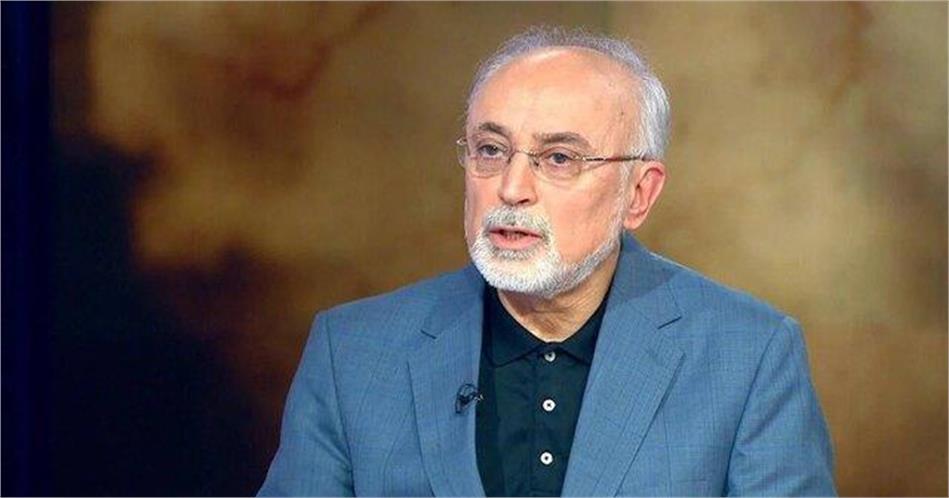 گفتگوی دکتر علی اکبر صالحی با شبکه العالم/ مساله فلسطین وجدان جهانیان را بیدار کرد