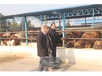 امنیت غذایی 6