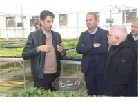 امنیت غذایی 1