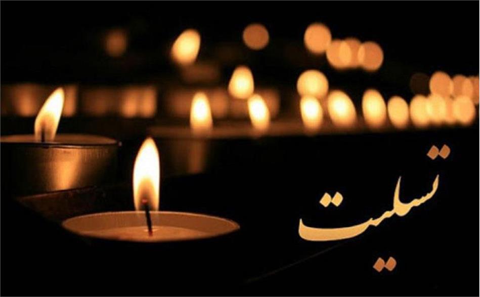پیام تسلیت رئیس فرهنگستان علوم به دکتر رضا مکنون