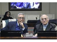 مجمع عمومی 33