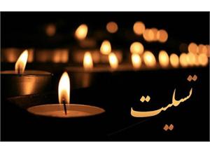 پیام تسلیت دکتر محمدرضا مخبردزفولی رئیس فرهنگستان علوم در پی درگذشت دکتر سیدمحمد بلورچیان