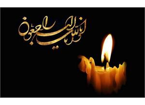 پیام تسلیت رئیس شاخه شیمی گروه علوم پایه فرهنگستان علوم در پی درگذشت دکتر سیدمحمد بلورچیان