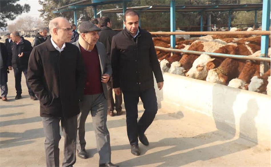 بازدید اعضای کمیسیون مطالعات راهبردی امنیت غذایی فرهنگستان علوم از مجموعه دامپروری ورامین