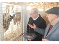 امنیت غذایی 12