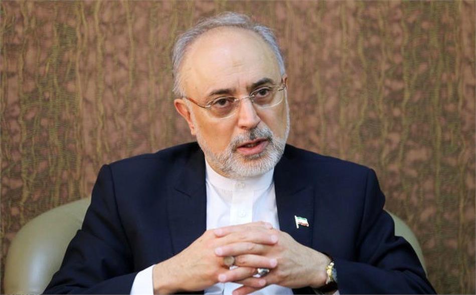 Prof. Salehi’s Appointment as the Head of the Mustafa Prize Scientific Committee