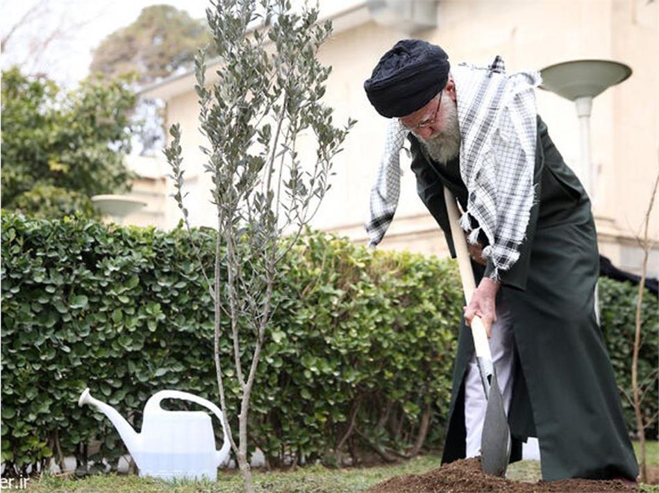 حضور در انتخابات جهاد ملت ایران