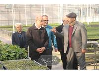 امنیت غذایی 9