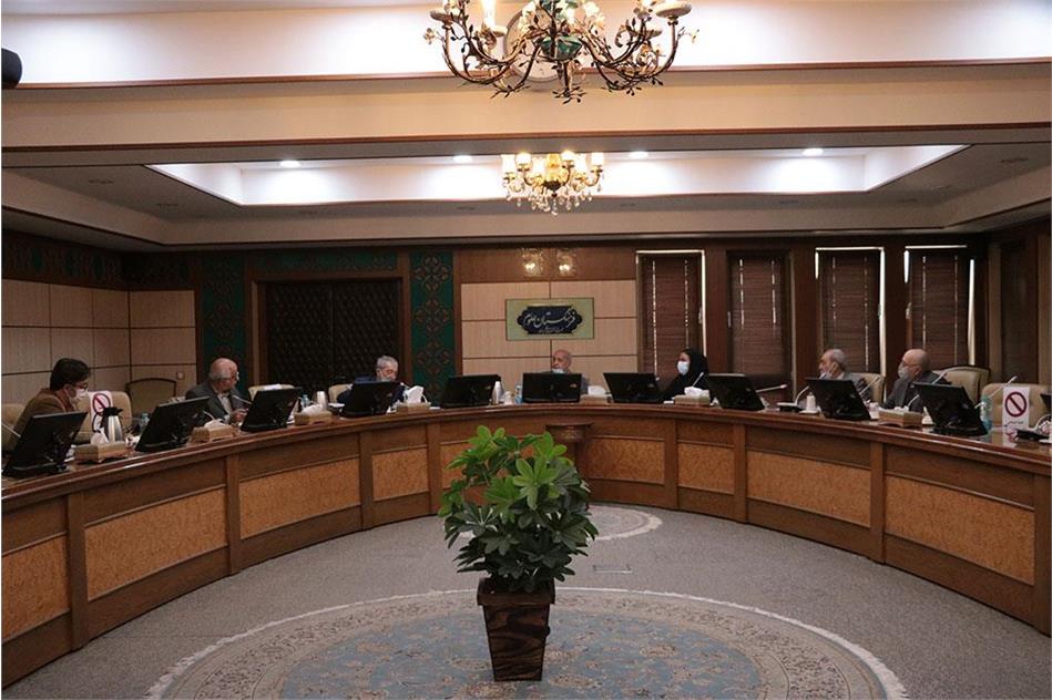 دومین نشست هم اندیشی دبیرخانه شورای آینده نگری فرهنگستان علوم برگزار شد