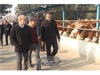 امنیت غذایی 3