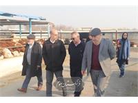 امنیت غذایی 4