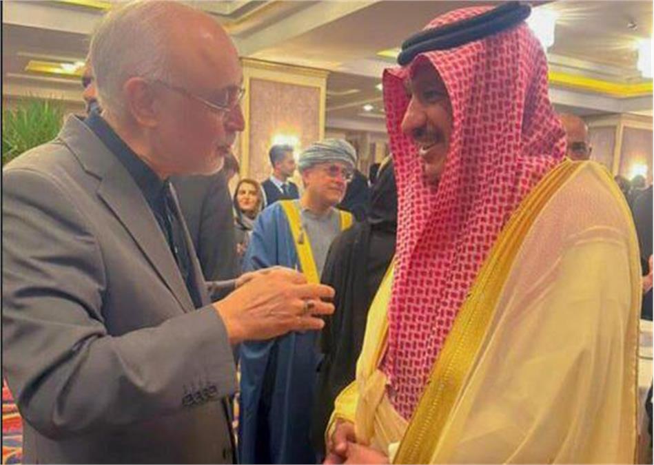 دیدار سفیر عربستان با دکتر صالحی