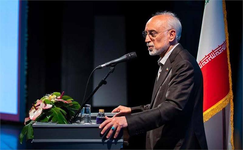 شهید لاریجانی دولتمردی واقعی بود
