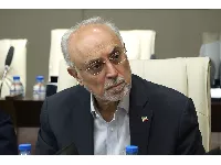 ابن سینا 31