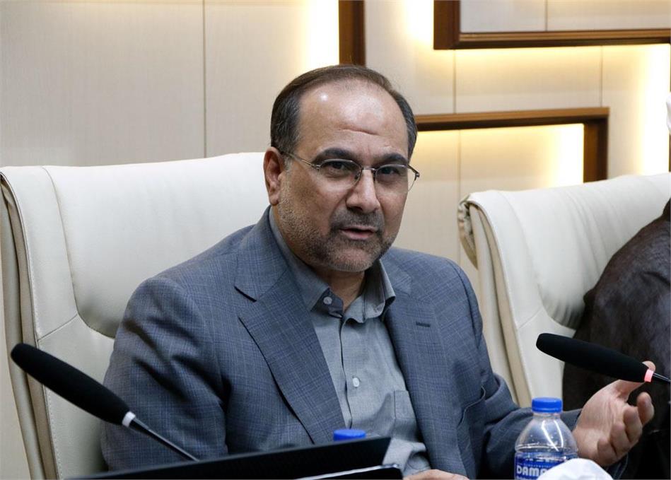 حکمت باید در چارچوب مرجعیت علمی ایران، جایگاه خود را پیدا کنند