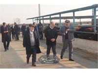 امنیت غذایی 7