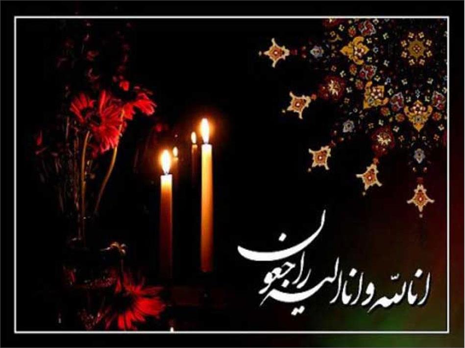 پیام تسلیت رئیس فرهنگستان علوم در پی درگذشت دکتر عباداله محمودیان