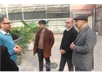 امنیت غذایی