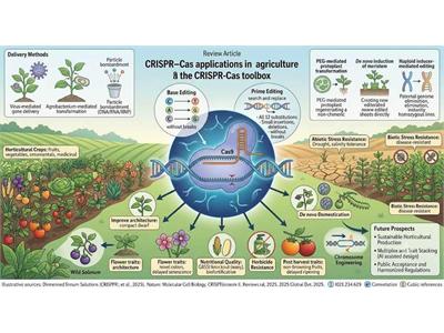 CRISPR Technology: The Dawn of a New Generation of Plant Breeding for Global Food Security