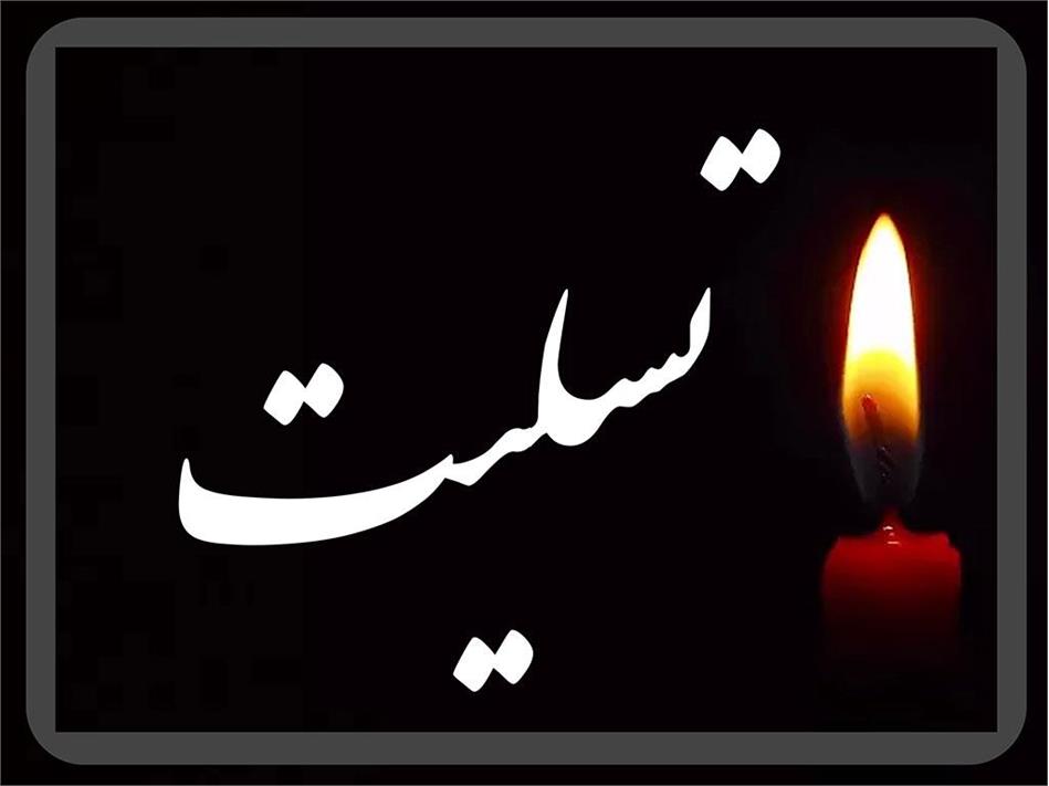 پیام تسلیت رئیس فرهنگستان علوم خطاب به برادران محمدی